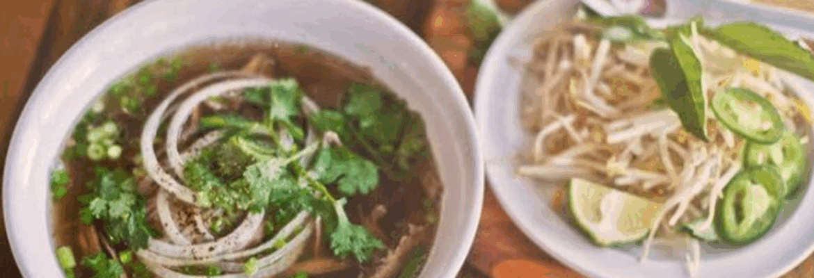 The Noodle Vietnamese & Thai Cuisine